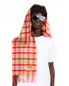 Cashmere Scarves by Designers
