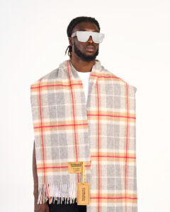  Worldwide Designer Wool Cashmere Scarves
